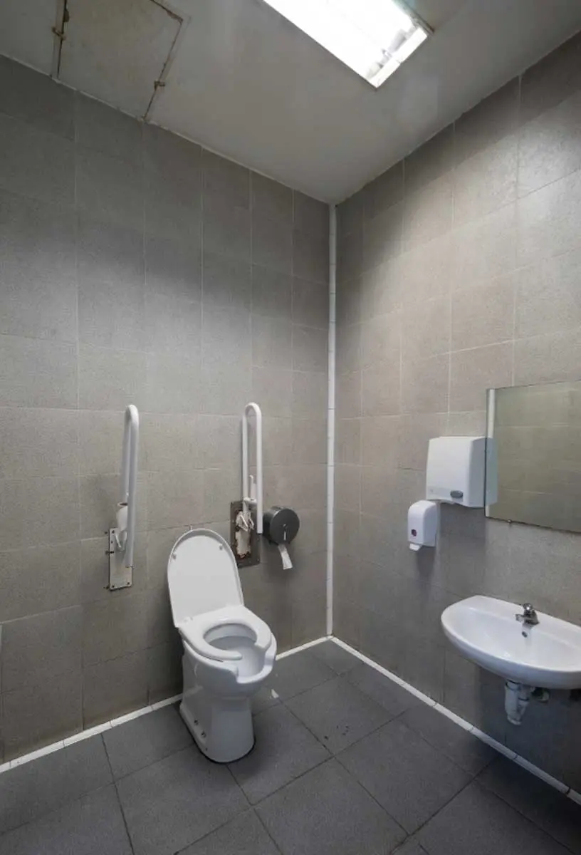 Aseo adaptado con inodoro con dos barras de apoyo abatibles
