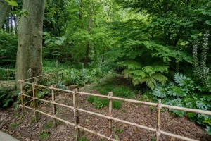 Descubriendo el parque Cristina Enea - Charcas