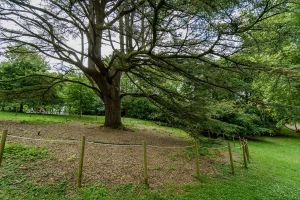 Descubriendo el parque Cristina Enea - Charcas