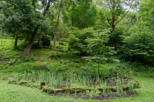 Descubriendo el parque Cristina Enea - Charcas